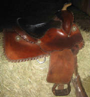 saddlelonghorn.jpg