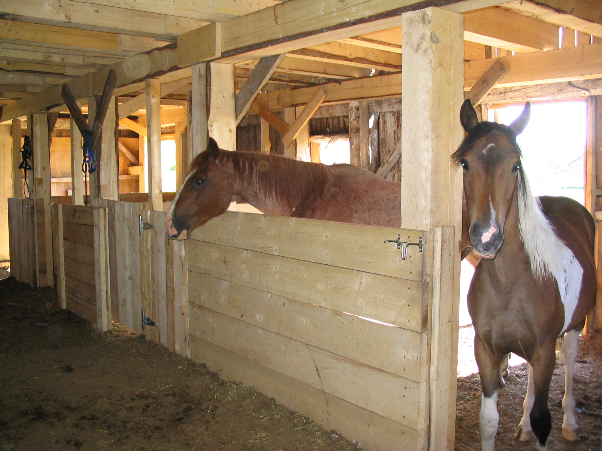 barn.jpg